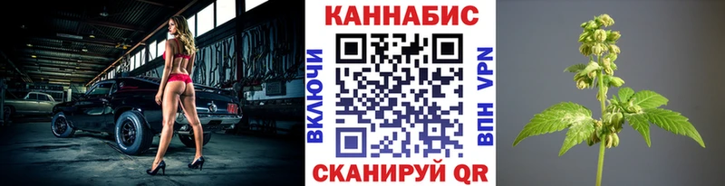 Шишки марихуана OG Kush  купить  сайты  Ессентуки 